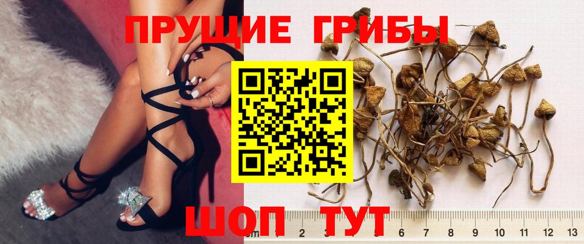 Псилоцибиновые грибы Magic Shrooms  что такое   Воткинск  Галлюциногенные грибы Magic Shrooms  Вход с VPN 